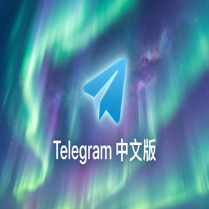 纸飞机中文版字体大小与界面显示调整方法 - Telegram 官网